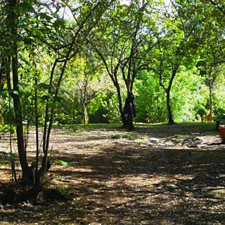 Hospedaje y Zona de Camping Pistacho - Tent - 2