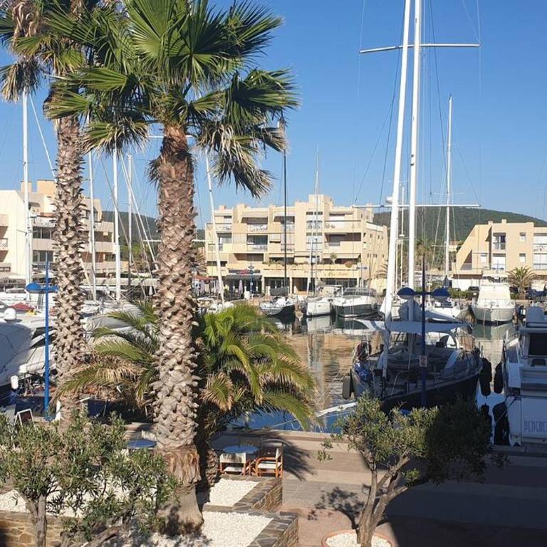 FACE MER ENTRE PLAGE ET MARINA - Monolocale con Vista Mare - 25