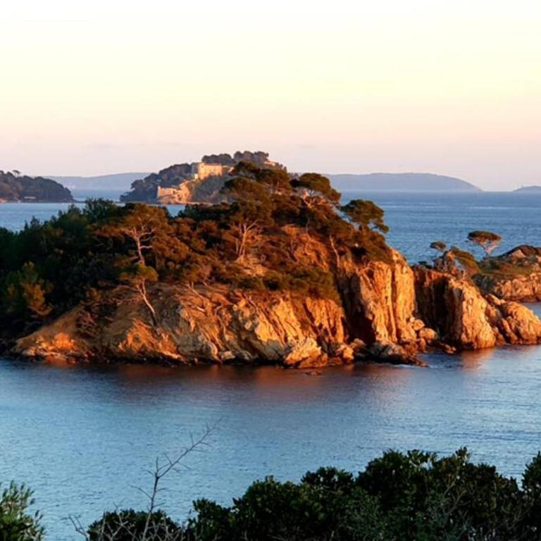 FACE MER ENTRE PLAGE ET MARINA - Monolocale con Vista Mare - 30