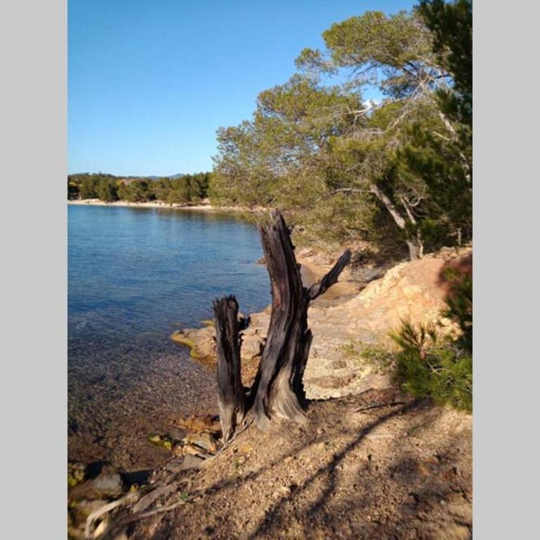 FACE MER ENTRE PLAGE ET MARINA - Monolocale con Vista Mare - 31
