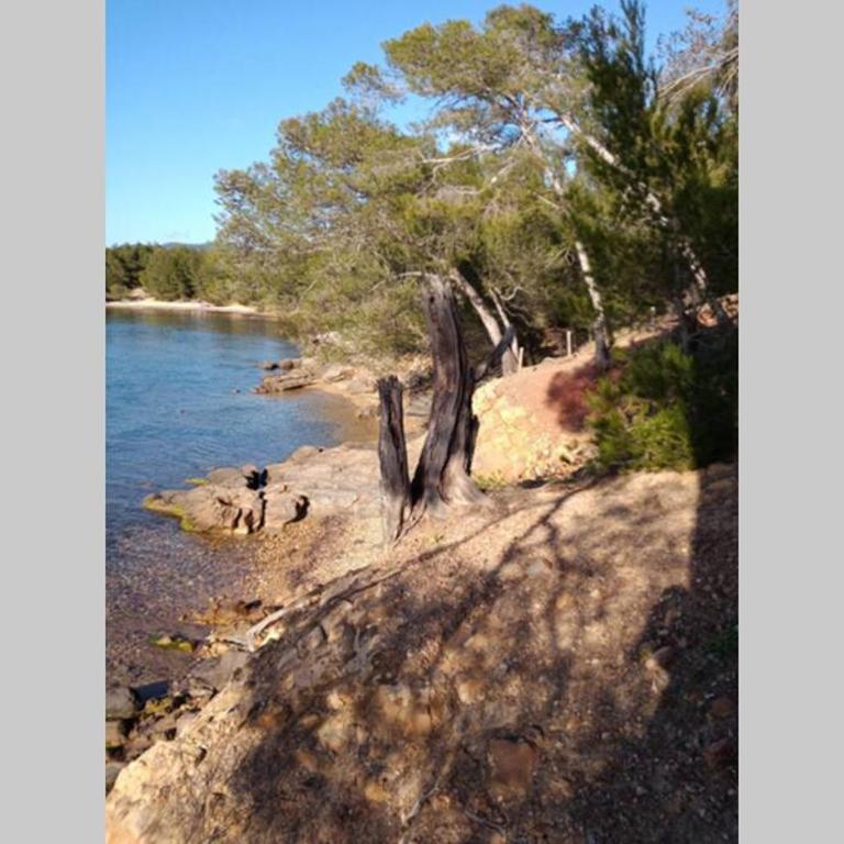 FACE MER ENTRE PLAGE ET MARINA - Monolocale con Vista Mare - 33