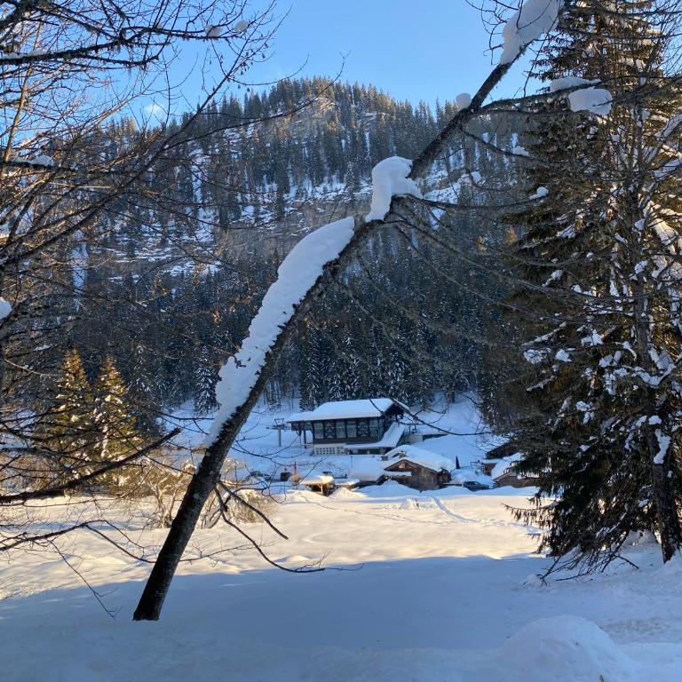 Chalet La Grange à Germaine - Propriétés Mont Amour - Chalet 5 Chambres - 62