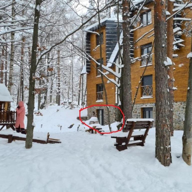 Jelenko, Apartment with a Garden - Apartman sa 1 Spavaćom Sobom - 15
