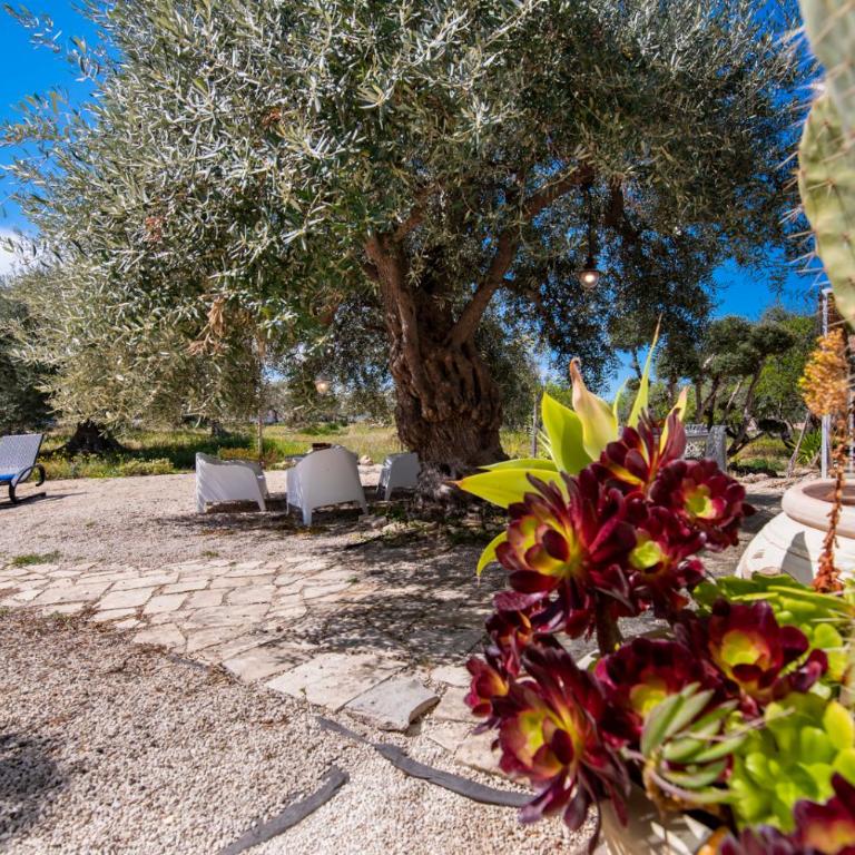 Villa Il Carrubo val di noto con piscina privata - Villa con 2 Camere da Letto - 6