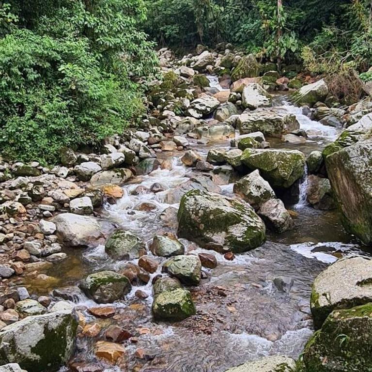 Paraíso en la montaña con cascadas y lago de pesca - Chalet de 3 dormitorios - 3