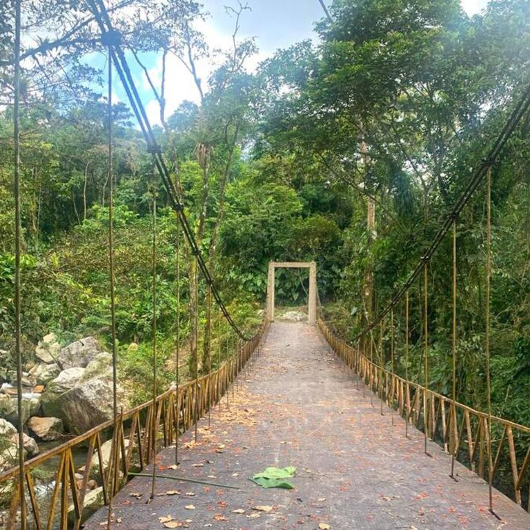 Paraíso en la montaña con cascadas y lago de pesca - Three-Bedroom Chalet - 20