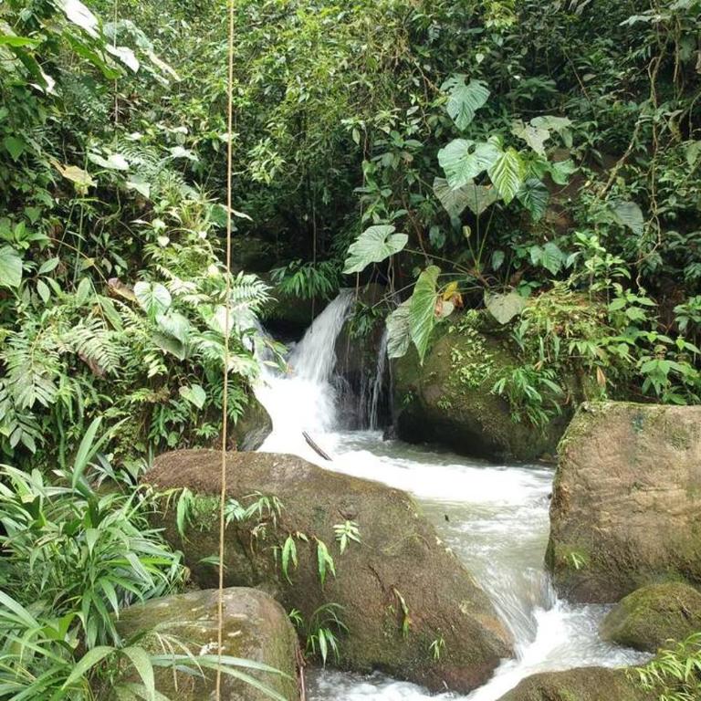 Paraíso en la montaña con cascadas y lago de pesca - Three-Bedroom Chalet - 26