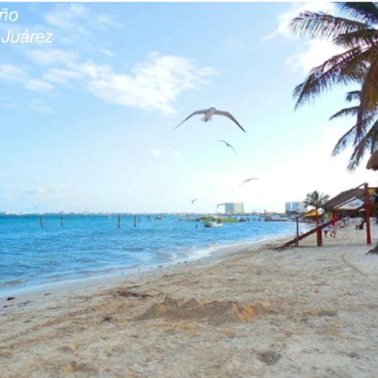 Ocean View PLAYA DEL NIÑO Rooms & Apartments - Quadruple Room with Sea View - 3