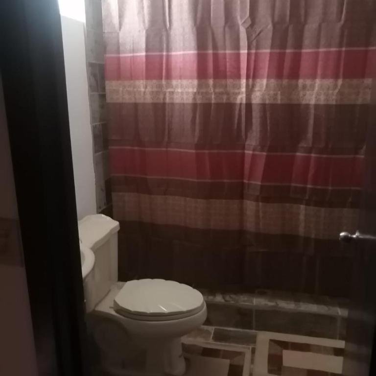Brenda Alicia 2 - Apartamento de 2 dormitorios - 15