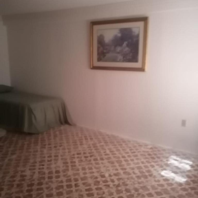 Brenda Alicia 2 - Apartamento de 2 dormitorios - 17