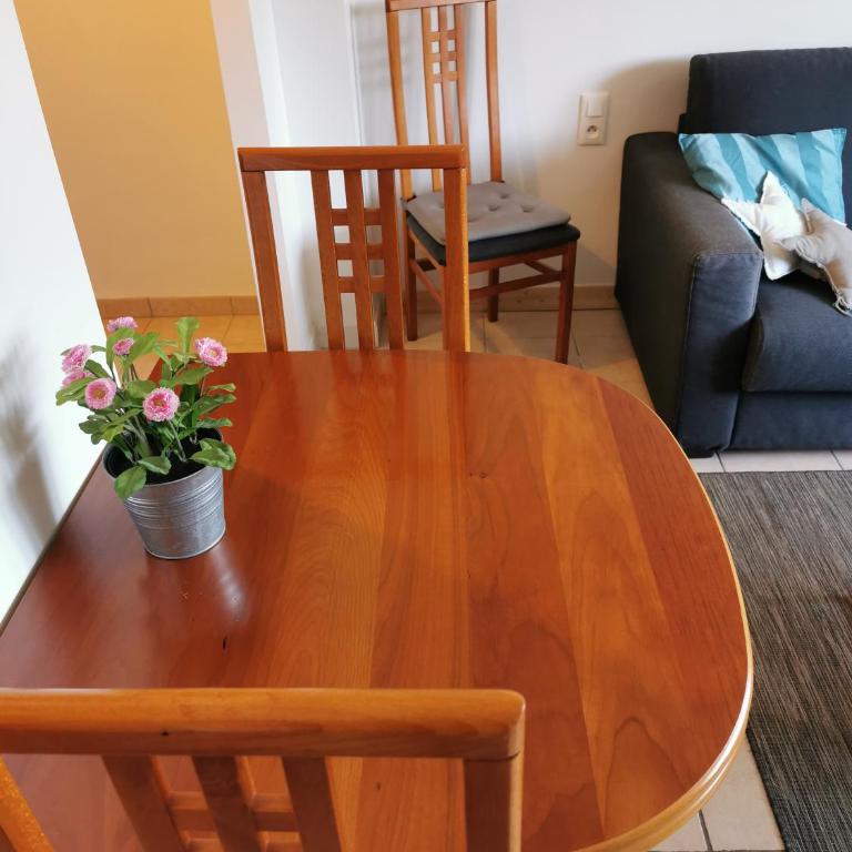 STUDIO 2 étoiles Rénové Proche des THERMES - Appartement 1 Chambre - 9