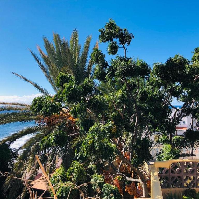 Efigenia playa/mar 3 - Apartamento de 1 dormitorio - 21