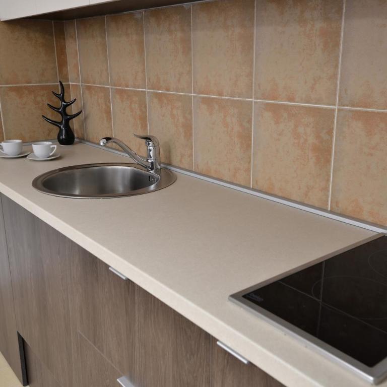 Apartman DiamondLux Vrnjacka Banja - Apartman sa 1 Spavaćom Sobom - 14