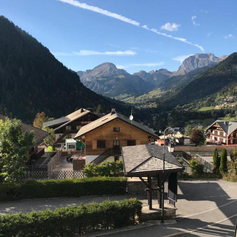 Ambrunes 9 - Grand studio rénové dans le centre de Châtel - Appartement avec Vue sur la Montagne - 14