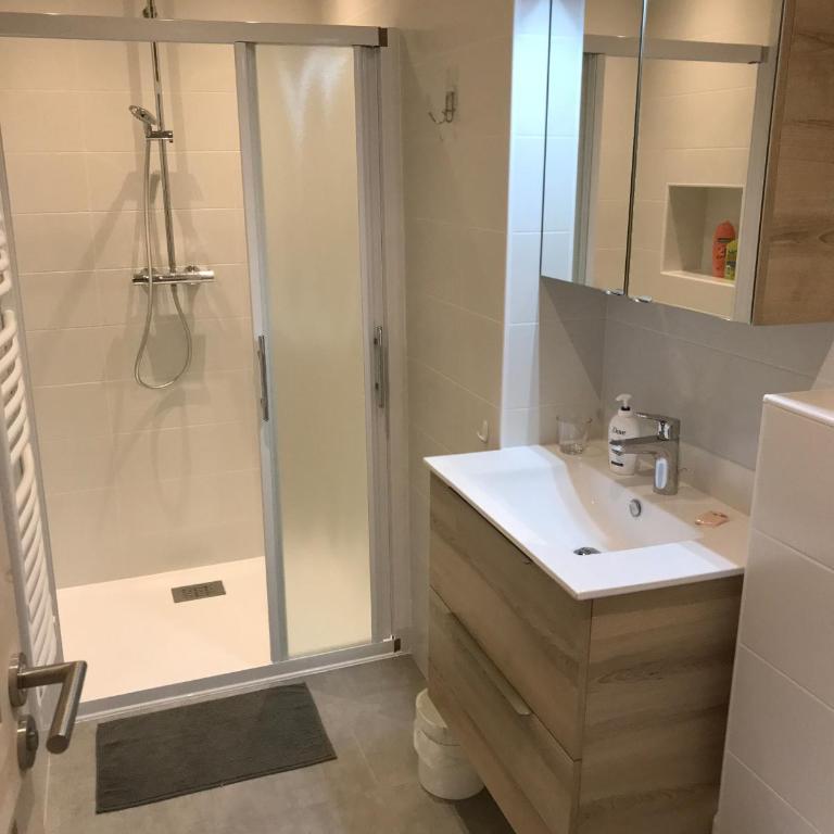 Ambrunes 9 - Grand studio rénové dans le centre de Châtel - Appartement avec Vue sur la Montagne - 18