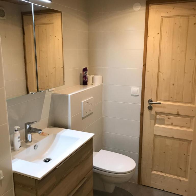 Ambrunes 9 - Grand studio rénové dans le centre de Châtel - Appartement avec Vue sur la Montagne - 19