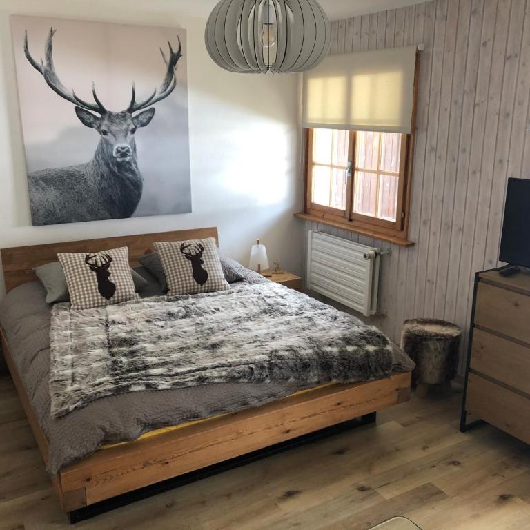 Le Cerf, magnifique studio avec jardin-terrasse et garage - Studio with Terrace - 10
