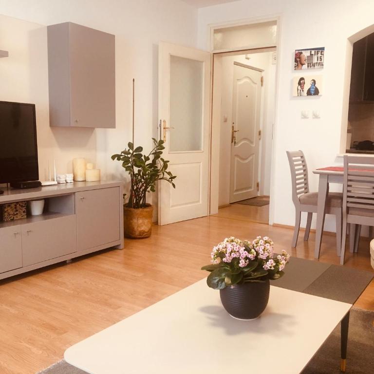 Home Apartment Petrovac - Apartman sa 2 Spavaće Sobe - 3