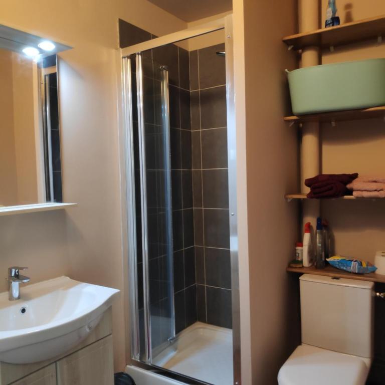studio Seignosse Océan (plages et commerces à pied) - Monolocale - 18