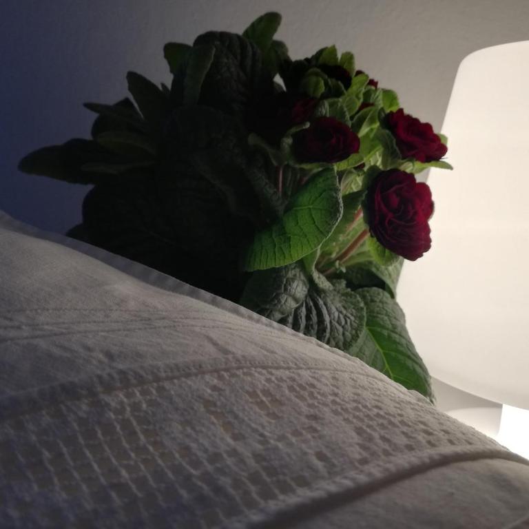 Ansitz Grustdorf - Appartamento con 3 Camere da Letto - 8