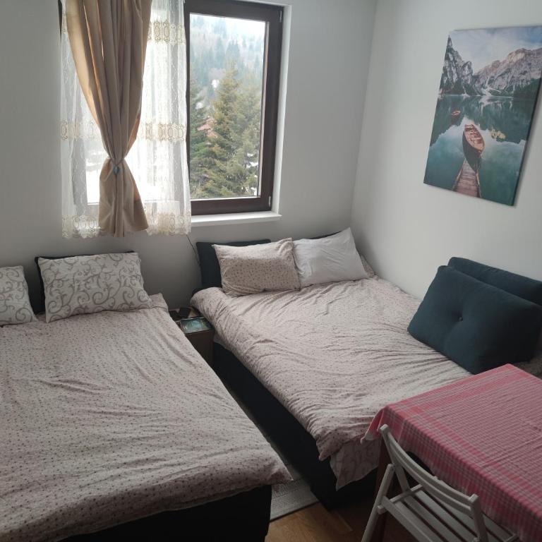 Vila Irina - Studio 11 lux - Deluxe Double Studio - 9