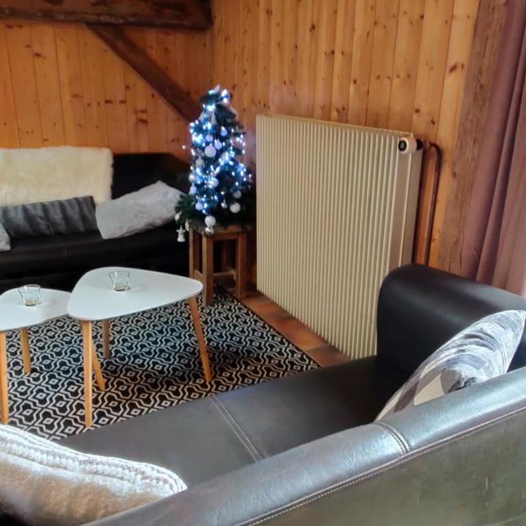 LA JOLIE BERGERE - Appartement avec Balcon - 12
