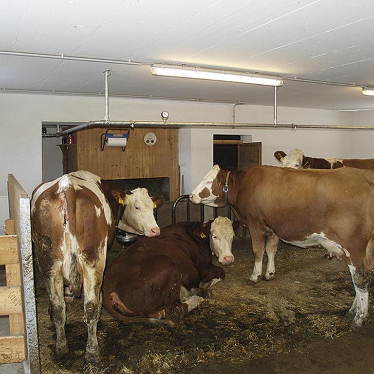 Pinterhof - Appartamento con 2 Camere da Letto - 7