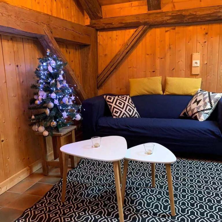 LA JOLIE BERGERE - Appartement avec Vue sur la Montagne - 7