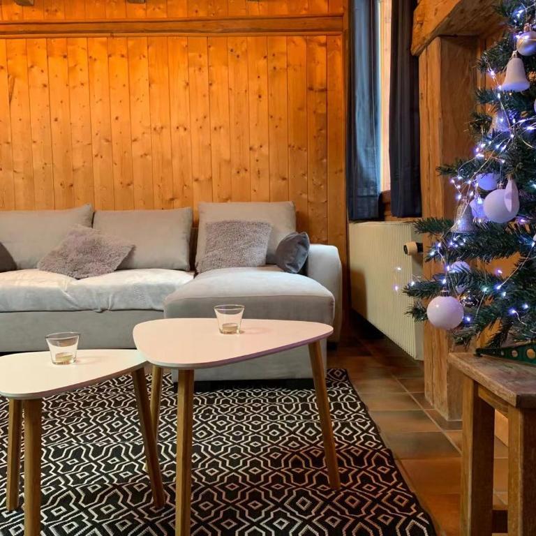 LA JOLIE BERGERE - Appartement avec Vue sur la Montagne - 10