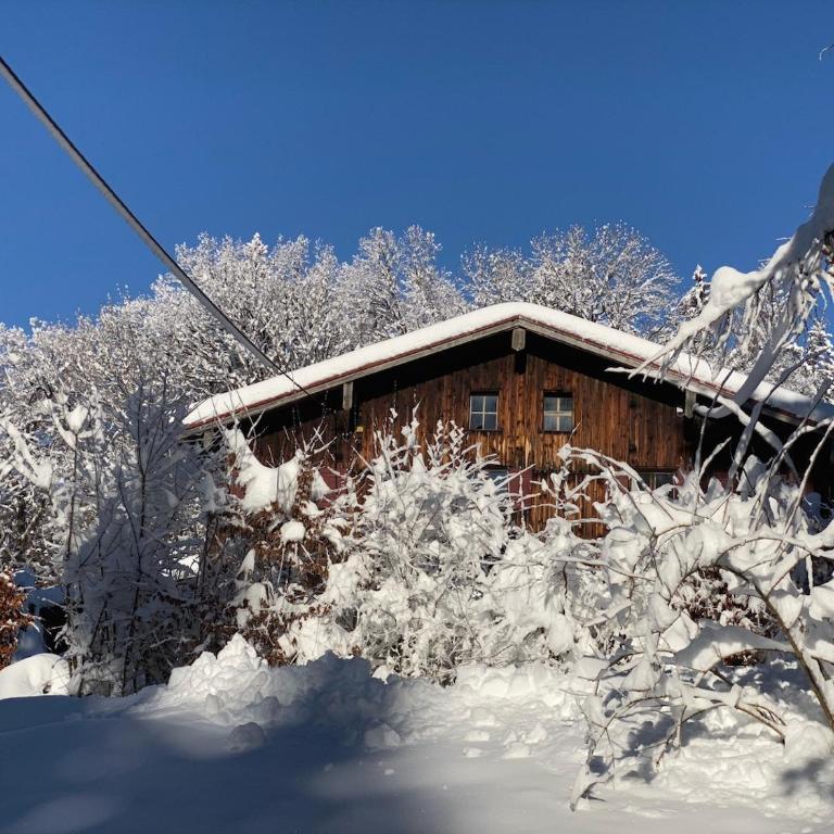 Wald-Ferienhaus-Seefried - Ferienhaus - 14