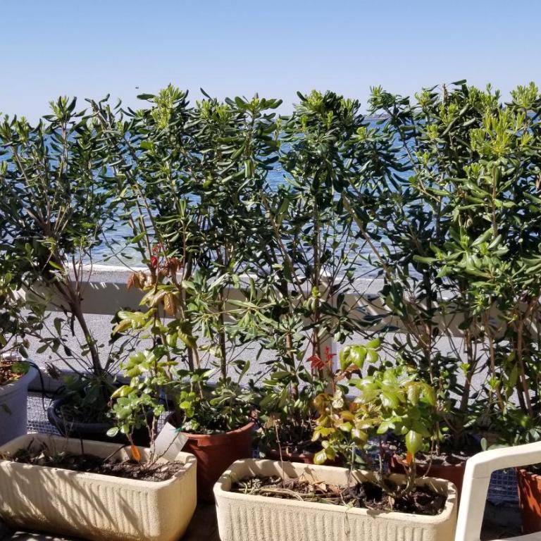 Charmant T2 pieds dans l'eau tout confort climatisé classé 2 étoiles tarif promotionnel pour curistes - Apartment mit 1 Schlafzimmer - 19