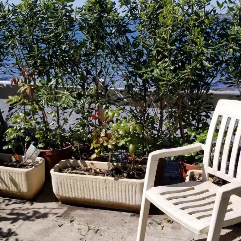 Charmant T2 pieds dans l'eau tout confort climatisé classé 2 étoiles tarif promotionnel pour curistes - Apartment mit 1 Schlafzimmer - 2