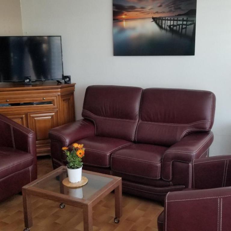 Charmant T2 pieds dans l'eau tout confort climatisé classé 2 étoiles tarif promotionnel pour curistes - Apartment mit 1 Schlafzimmer - 8