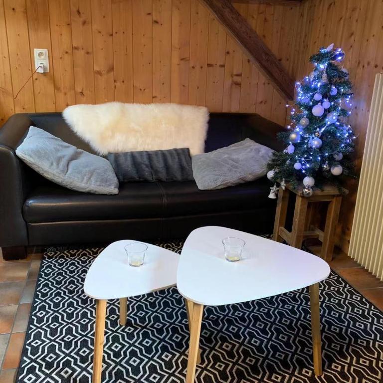 LA JOLIE BERGERE - Appartement avec Balcon - 21