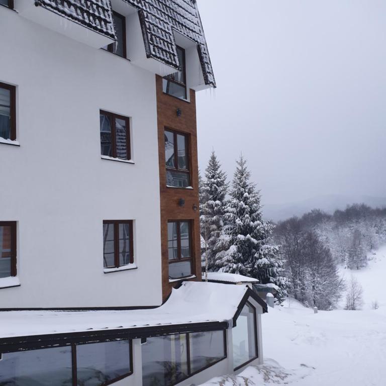 Apartman Kostic Kraljev Konak - One-Bedroom Apartment - 1