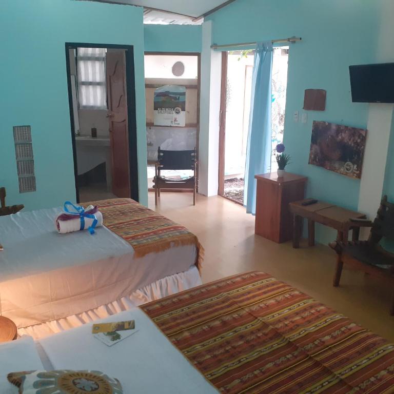 Cozy Hosting Galapagos - Estudio Familiar - 14
