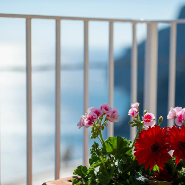 Le Ali sul Mare,near elevator, few steps,parking - Casa con 2 Camere da Letto - 31