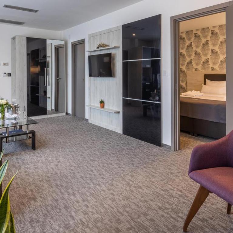 Hotel Fontana Vrnjačka Banja - Deluks Suite - 4