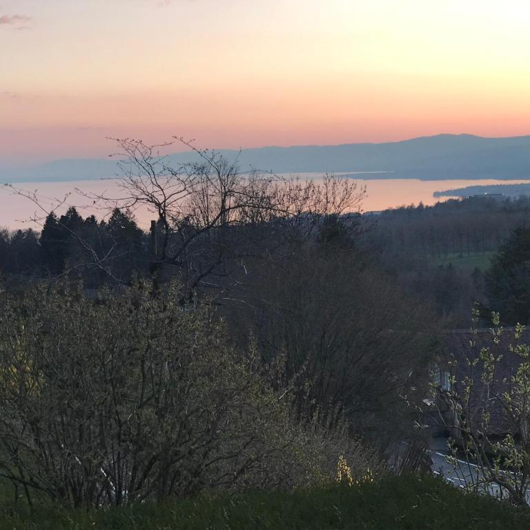 Petite maison à l'orée des bois vue sur le lac calme et zénitude - Haus mit 1 Schlafzimmer - 2