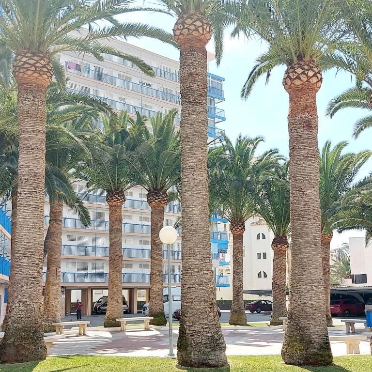 Exclusif Appartement en 1er Ligne, Vue Imprenable, Piscine, Parking Privé à Playa Mucha Vista, Alicante - Apartamento de 2 dormitorios - 48
