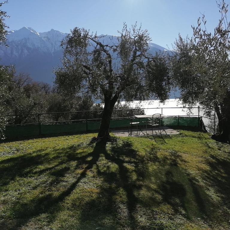 Casetta delle olive - Casa con 1 Camera da Letto - 10