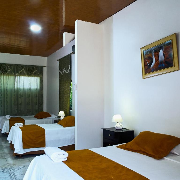 Hostal Muro De Las Lagrimas with high speed internet Starlink - Quadruple Room - 8