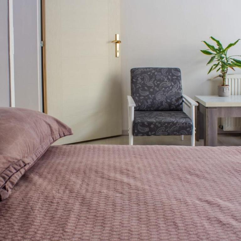 BB Downtown Apartment - Apartman sa 1 Spavaćom Sobom - 6