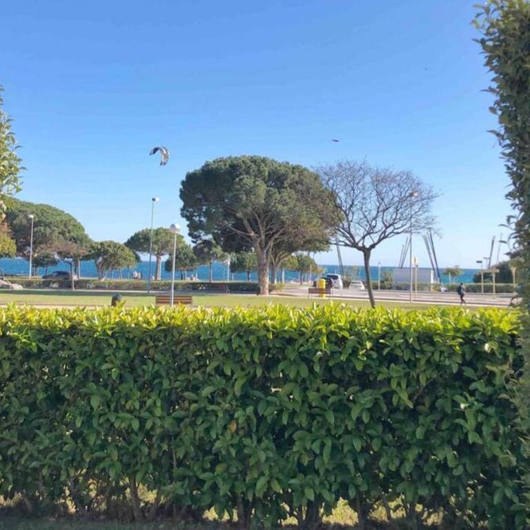 Edifici Ciutadella - Two-Bedroom Apartment - 33