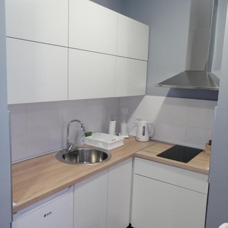 FIT apartman - Apartman sa 1 Spavaćom Sobom - 17