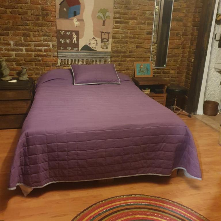 Cerca del Colmex, Flacso y U Pedagogica - Double Room with Private Bathroom - 1