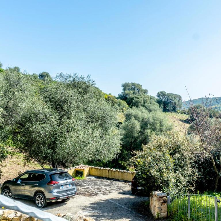 Appartamenti Dodi LT - PMS CaseVacanze - Appartamento Standard - 5