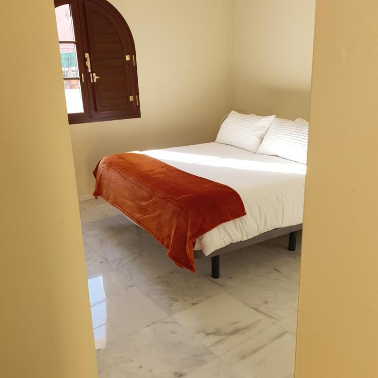 Habitaciones Casa Sevillana Centro - Habitación Doble con terraza - 4