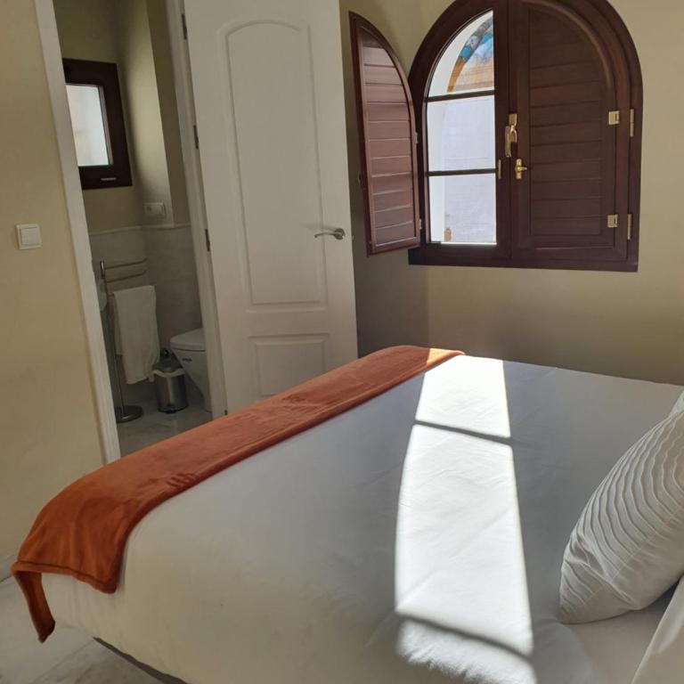 Habitaciones Casa Sevillana Centro - Habitación Doble con terraza - 1