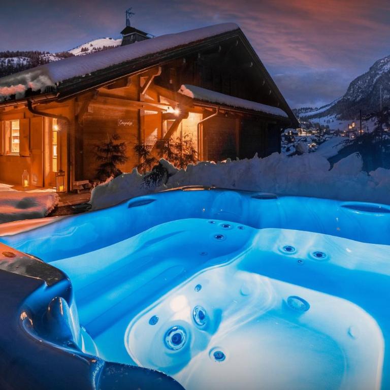 Chalet Cosyneige - OVO Network - Chalet - 21